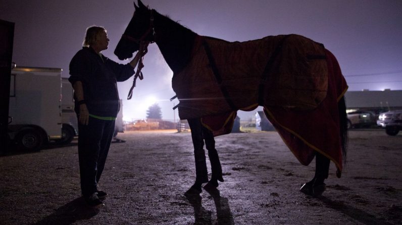 Stan poddaje kwarantannie majątek NJ po przypadkach opryszczki koni