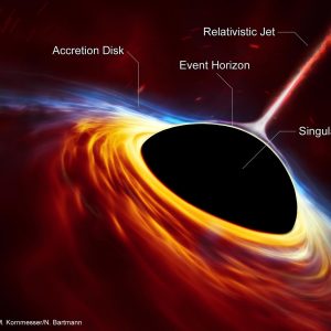 Black Hole Anatomy