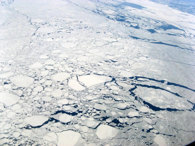 Kawałki lodu unoszące się w oceanie