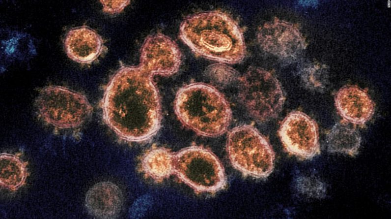 Nowe badanie pokazuje, że epidemia wirusa Corona nawiedziła Azję Wschodnią 20 000 lat temu