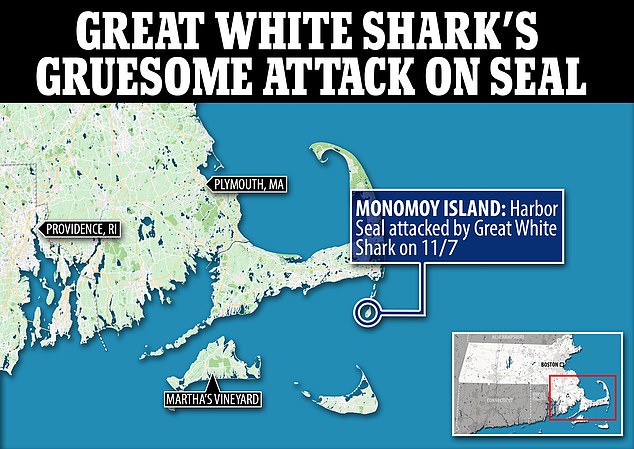 Krwawy atak miał miejsce w pobliżu południowego krańca wyspy Monomoy, ośmiomilowego odcinka piasku na południowy zachód od Chatham w stanie Massachusetts.
