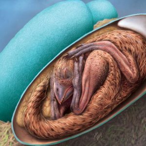 W Chinach odkryto embrion dinozaura doskonale zachowany w jaju