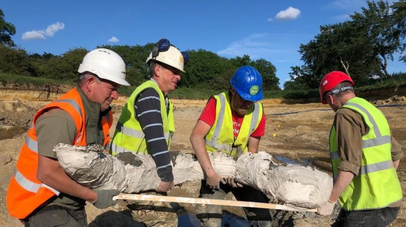 Odkrycie cmentarzyska mamuta zawiera rzadkie szkielety - RT UK News