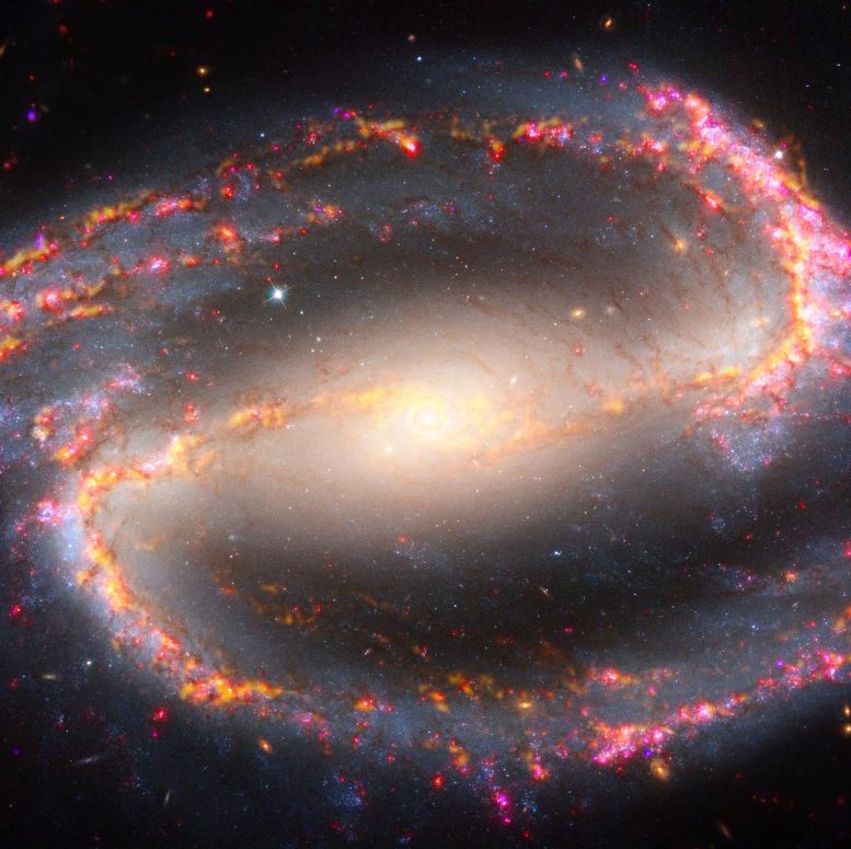 Galaktyka NGC 1300