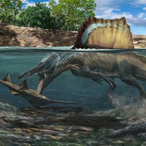 Dinozaur większy od T. rexa pływał i polował pod wodą