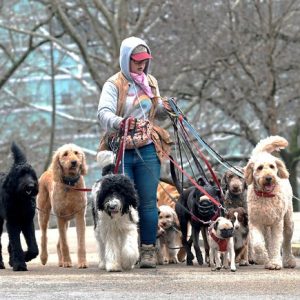 Kitaira Stotler, właścicielka Kitaira Walks Your Dog, wyprowadza 15 psów po Highland Park, środa, 23 marca 2022 r. w Pittsburghu.