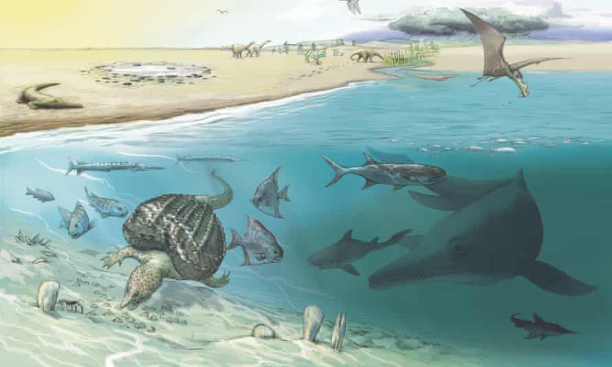 Uważa się, że ichtiozaury wielkości wielorybów czasami odwiedzały płytkie wody