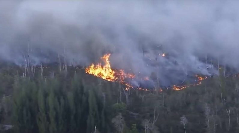 Pożary niszczą tysiące akrów w Everglades na Florydzie