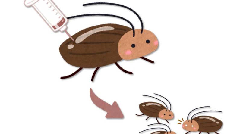 CRISPR in Cockroaches