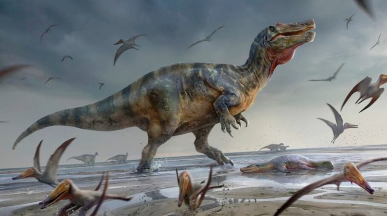 Jeden z największych drapieżnych dinozaurów w Europie odkryto w Wielkiej Brytanii