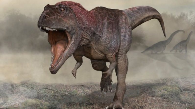 Odkrycie dinozaurów wskazuje, dlaczego T-rex miał broń strzelecką