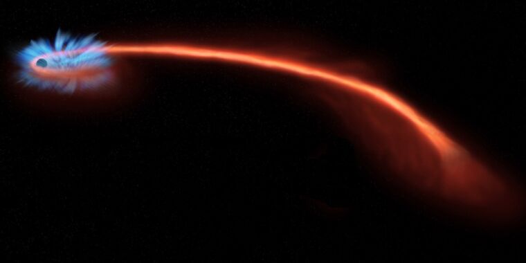Światło spolaryzowane ujawnia ostateczny los gwiazdy „Spaghettied” przez czarną dziurę