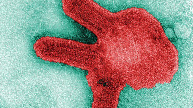 Gwinea ogłasza koniec epidemii wirusa Marburg