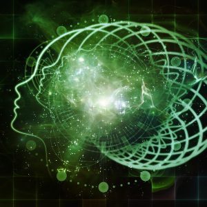 Brain Memory Intelligence Consciousness